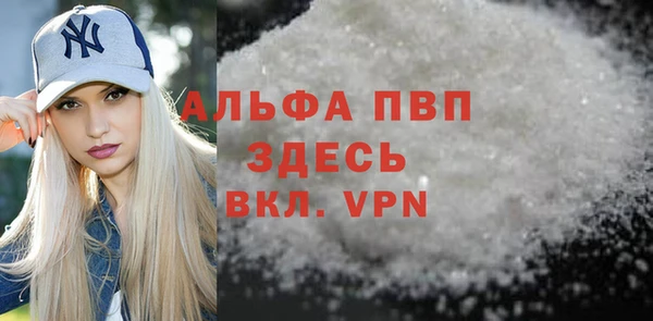 шишки Абаза