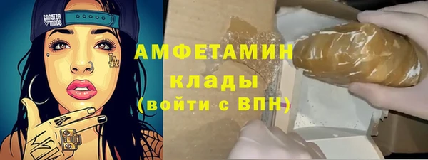 шишки Абаза