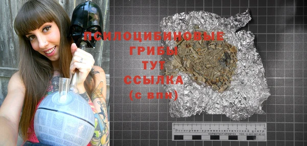 шишки Абаза