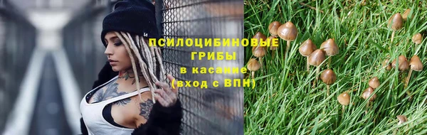 шишки Абаза
