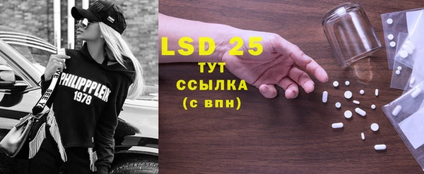 шишки Абаза